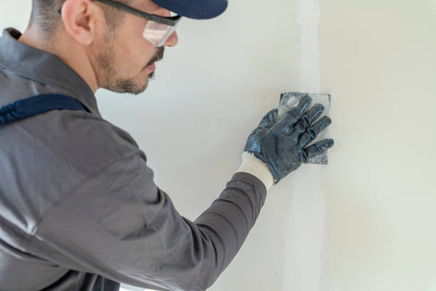 Best Comprehensive Air Testing for Mold Contaminants  in Asbury Lake, FL