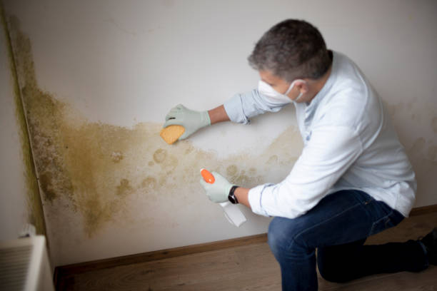 Forensic Mold Investigation in Asbury Lake, FL