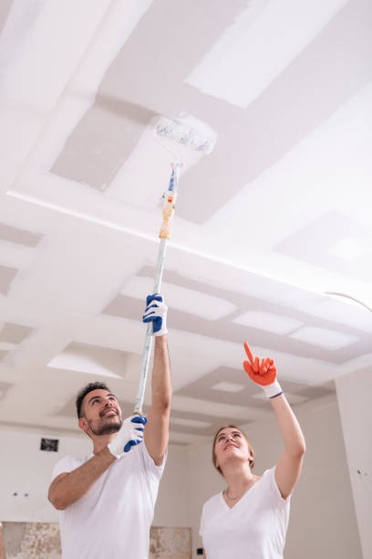 Mold Odor Removal Services in Asbury Lake, FL