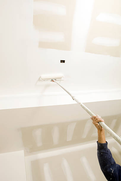 Best Industrial Mold Remediation  in Asbury Lake, FL