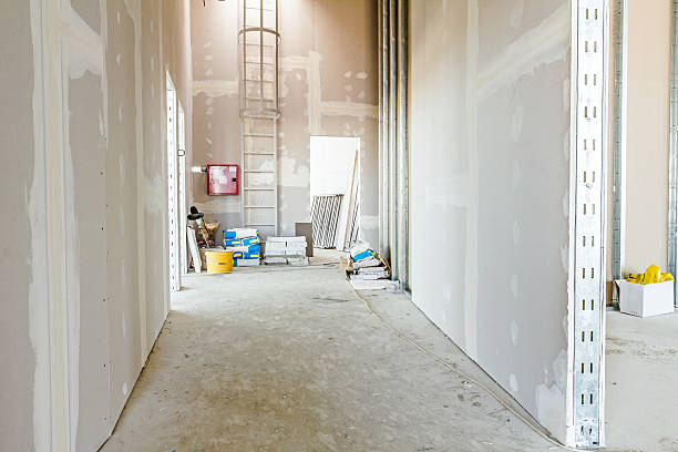 Best Asbestos and Lead Testing During Mold Inspection  in Asbury Lake, FL